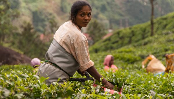 Agriculture-Worker